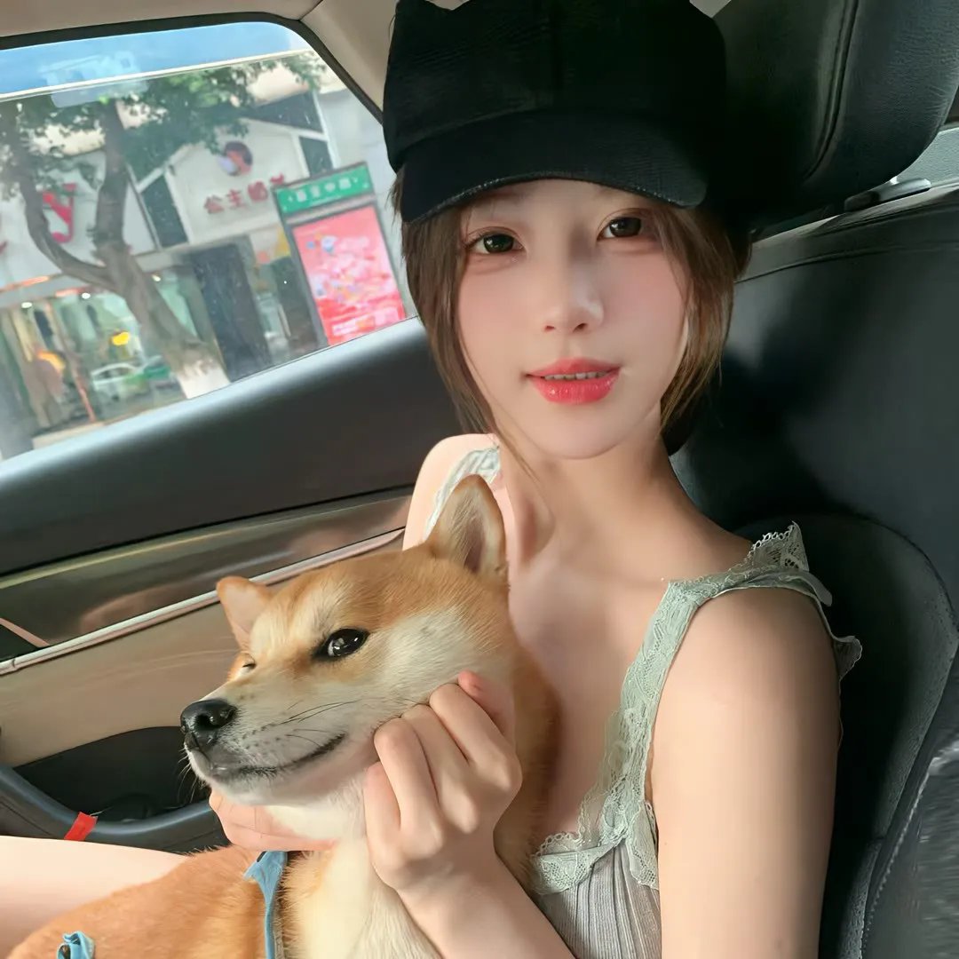 避难所封面
