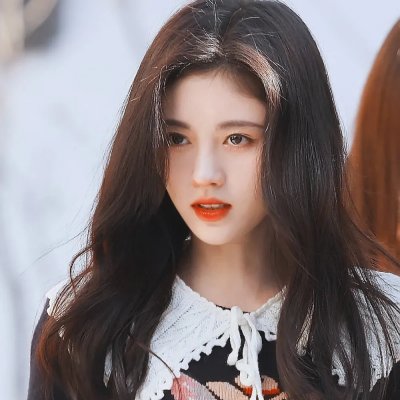 爱在猫咪疗愈时封面
